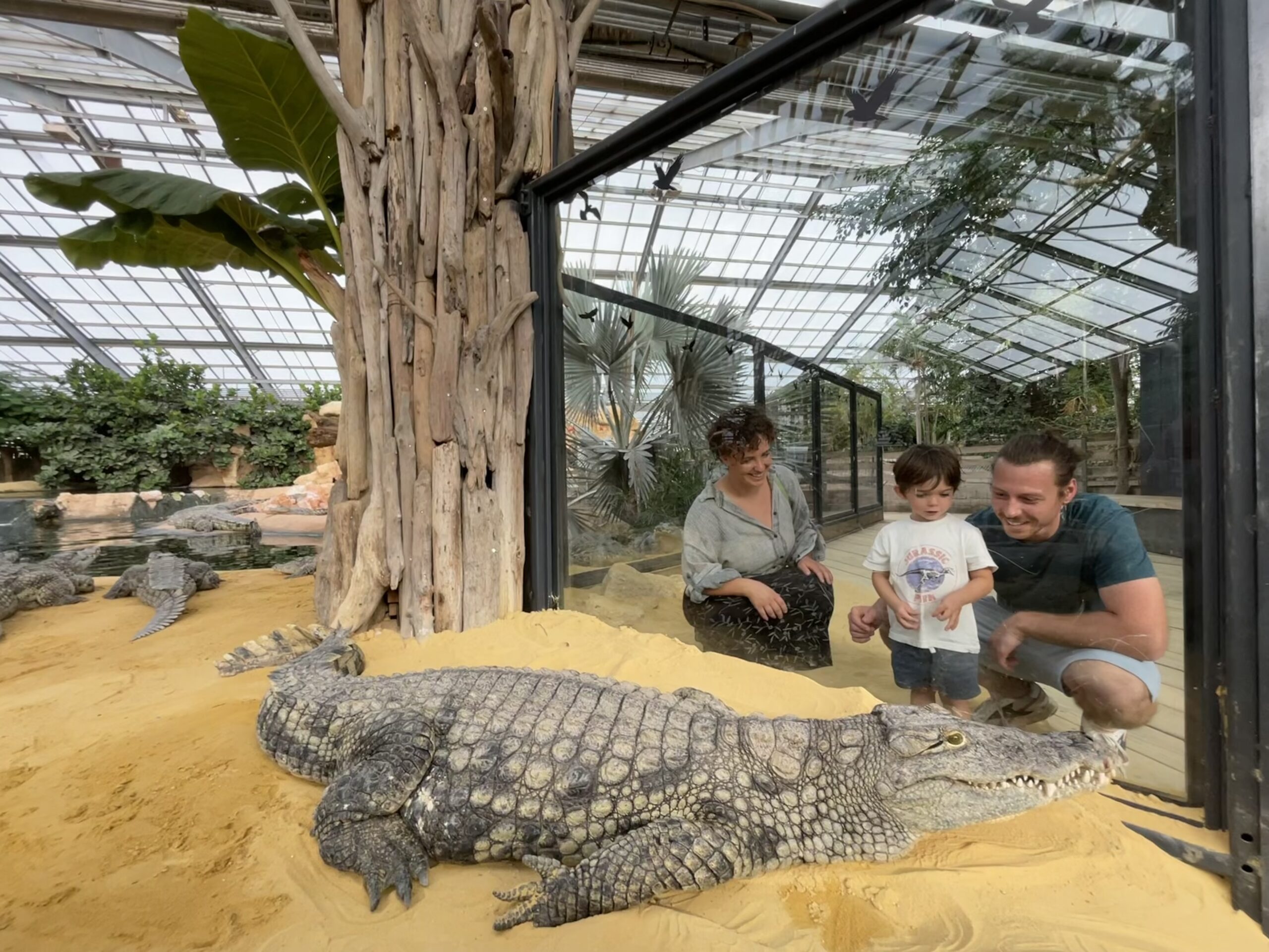 Visiteurs observant un grand crocodile à la Ferme aux Crocodiles