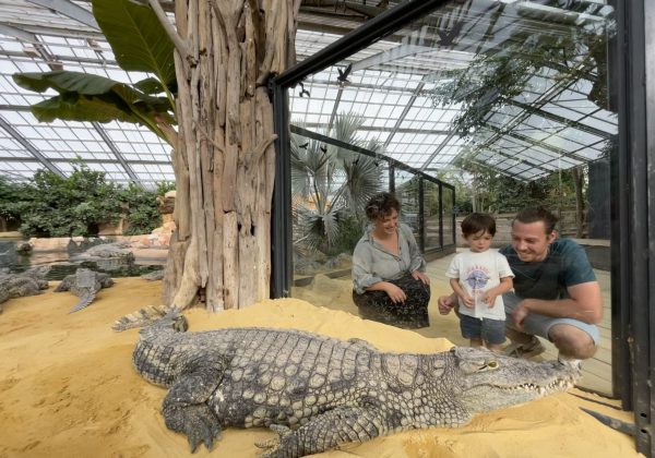 Visiteurs observant un grand crocodile à la Ferme aux Crocodiles